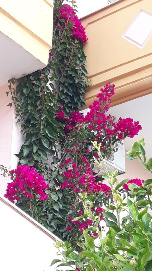 Villa Rafaela 리메나리아 외부 사진